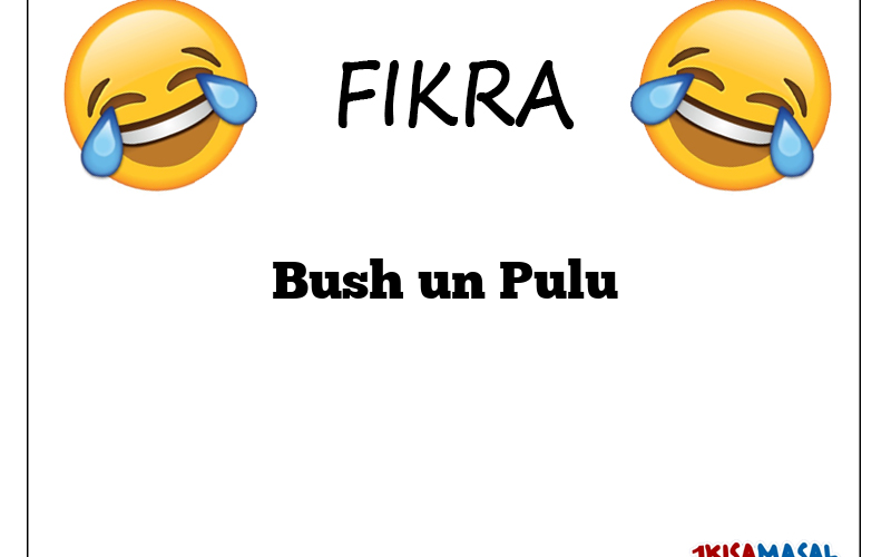 Bush un Pulu