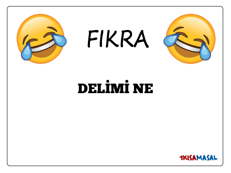 DELİMİ NE