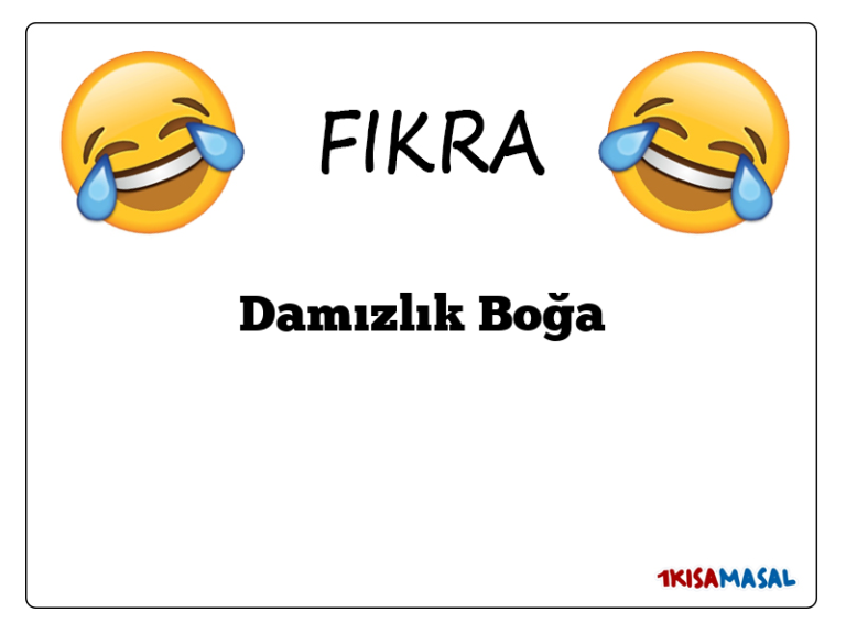 Damızlık Boğa