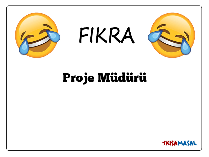 Proje Müdürü