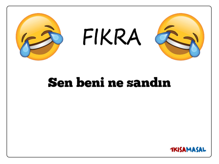 Sen beni ne sandın