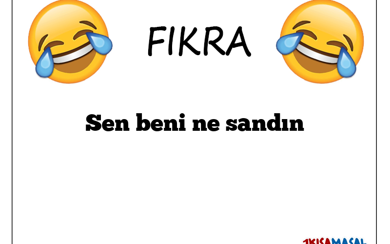 Sen beni ne sandın