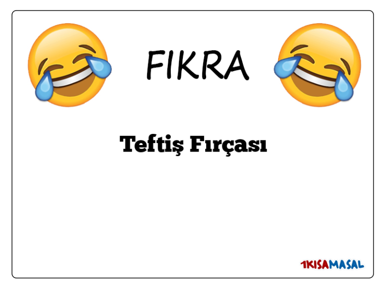 Teftiş Fırçası