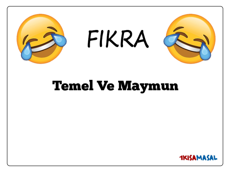 Temel Ve Maymun